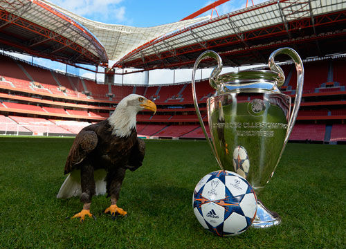 消防维保有没强制要求